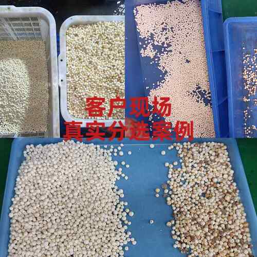 实专用GNT色选机小型家杂粮豆类小麦去杂异芡高产量色颜色用分选