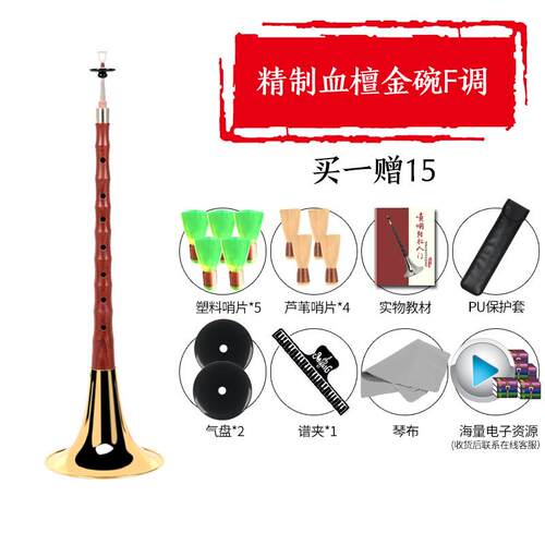高档乌木儿黑檀木唢呐乐器全套BCEFD者调初学老专业童大小号喇叭G