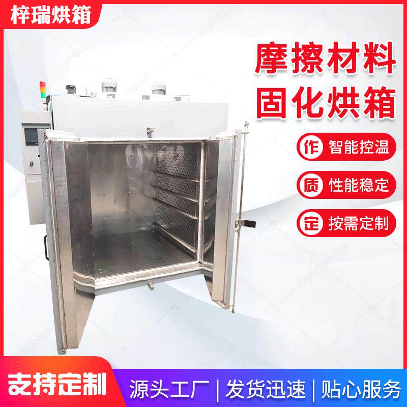 苏州摩擦材料固化烘箱大型双开门真空固化炉工业烤箱高温固化烘箱