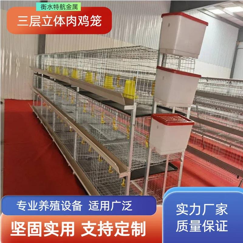 肉鸡笼镀锌防锈自动H型立式雏肉两用鸡笼农用畜牧含托粪盘塑料网