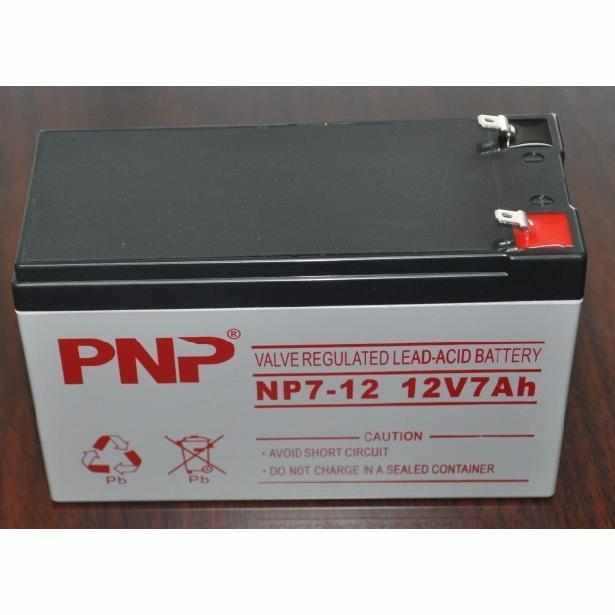 新款PNP蓄电池NP200-12 匠心免维护型 基站UPS计算机后备应急电源