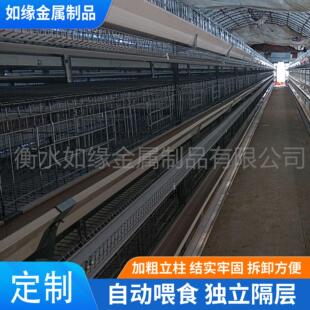 定制小层叠蛋鸡笼养加粗加密全自动养殖笼具鸡场自动化养殖设备