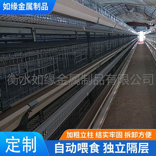 定制小层叠蛋鸡笼养加粗加密全自动养殖笼具鸡场自动化养殖设备