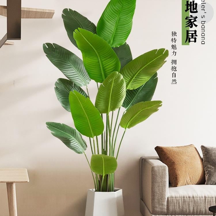 绿植假植物旅人蕉轻奢装饰室内盆栽仿生天堂鸟客厅摆件树