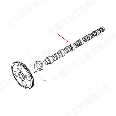 供应 D09-101-40+A上柴发动机 D6114B凸轮轴 Camshaft