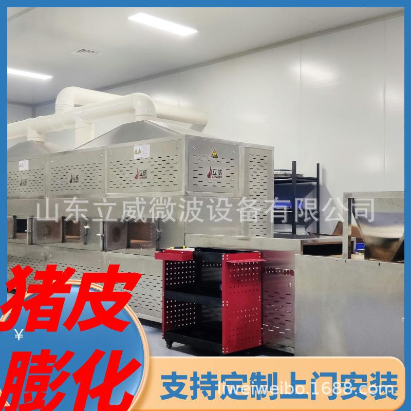 肉类解冻设备猪头肉解冻机立威隧道式鸡爪猪蹄杀菌解冻机