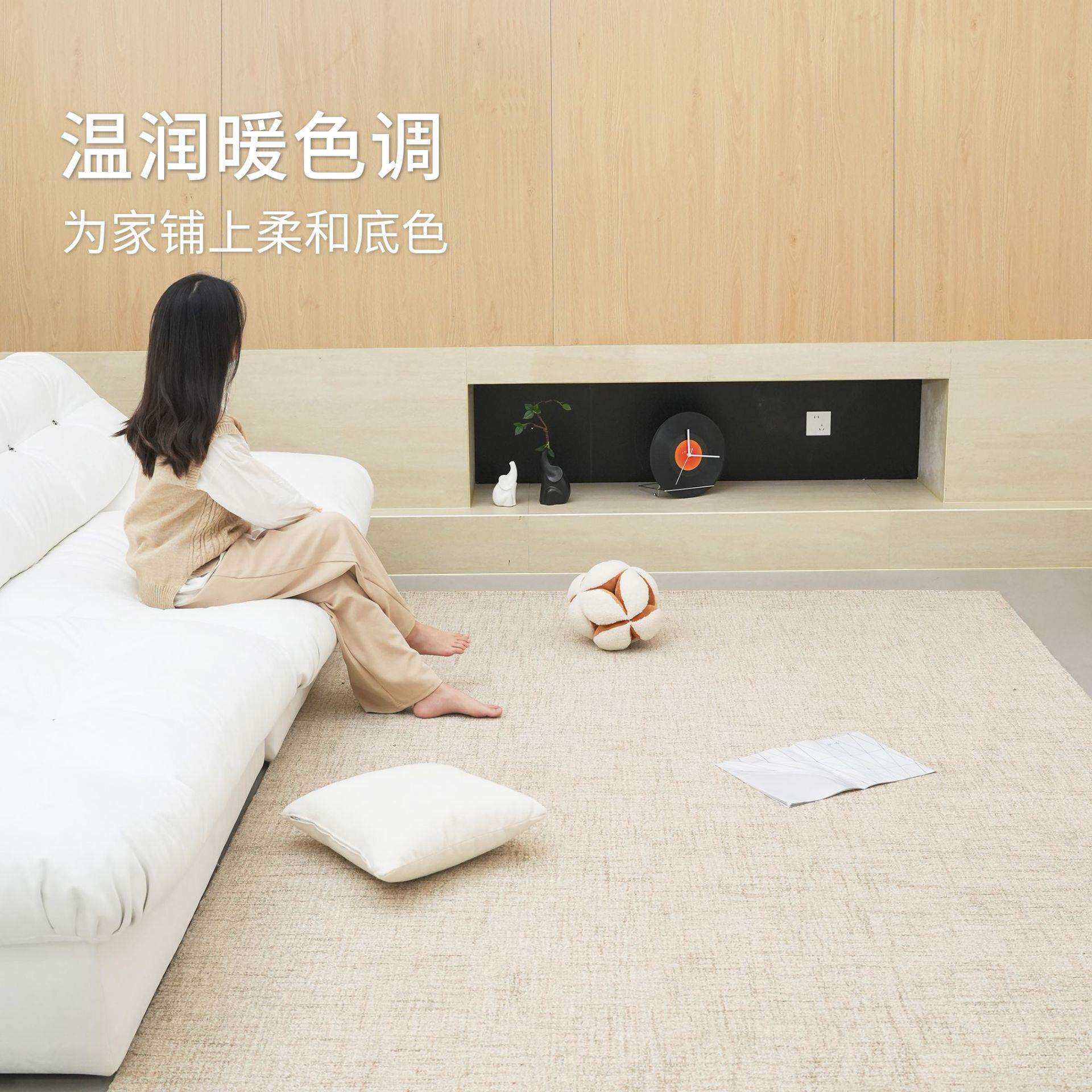 进口羊毛地毯客厅轻奢高级2025新款现代简约耐脏易打理沙发卧室毯