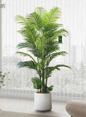 彷真绿色植物高端轻奢散尾葵植物盆栽客厅凤尾竹彷生大型假树装饰