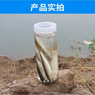 鱼缸倒须抓鱼瓶小型不漏鱼户外捉鱼神器全套小龙虾河流瓶子儿童