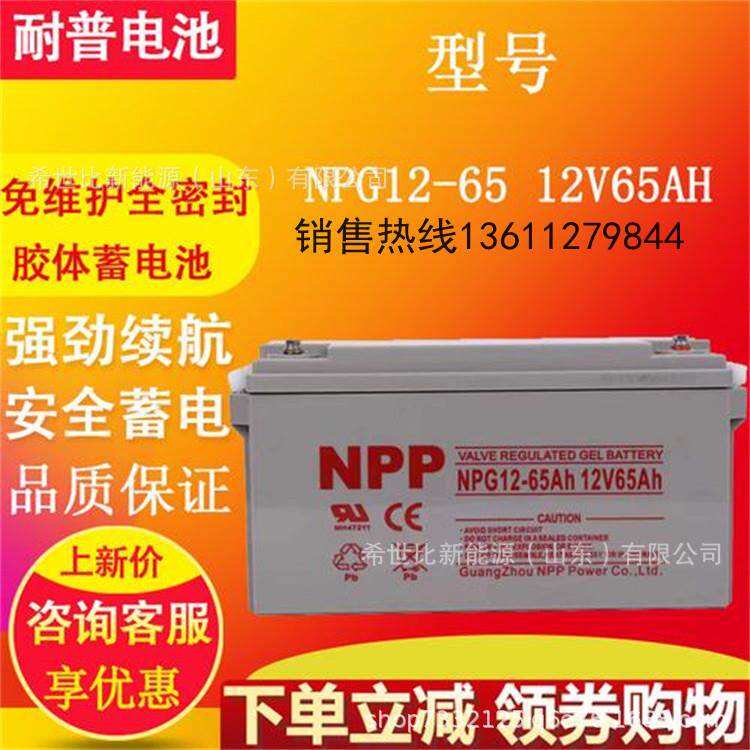 NPP耐普蓄电池NPG12-120光伏水泵12V120AH直流屏基站太阳能照明用