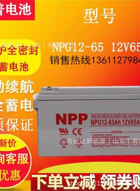 NPP耐普蓄电池NPG12-120光伏水泵12V120AH直流屏基站太阳能照明用