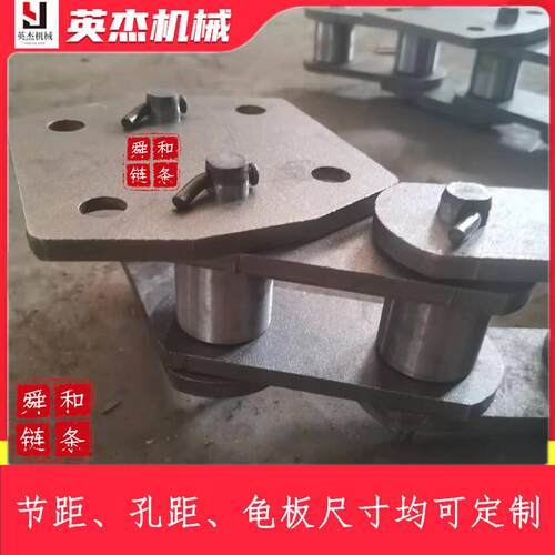 844T250SNE小条节距斗式提升机链提升机B链条斗提机工业传动板式
