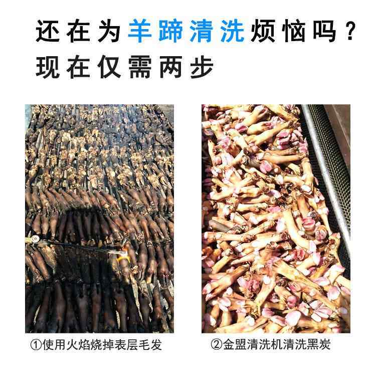 全型羊FMH蹄清洗机商用羊头去黑炭新清洗机自洗动羊蹄筋毛辊清去