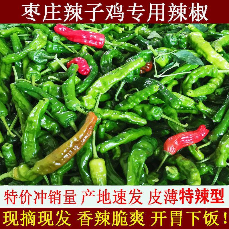 山东枣庄薄皮辣椒新鲜现摘应季蔬菜螺丝椒小皱皮青红炒鸡辣椒特辣