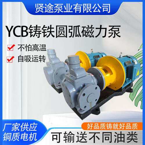铸铁圆弧磁力泵YCB3.3/0.6无泄漏磁力驱动泵化工用电动管道齿轮