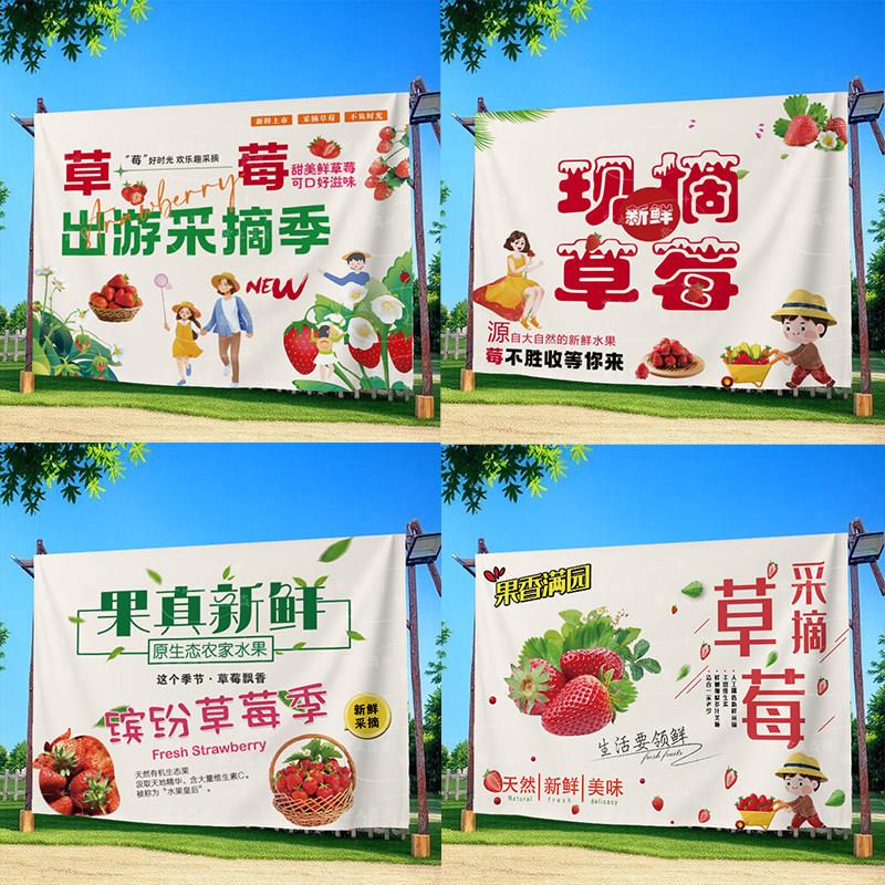 草莓采摘园装饰背景布新鲜草莓移动车招牌挂布果园亲子横幅广告布