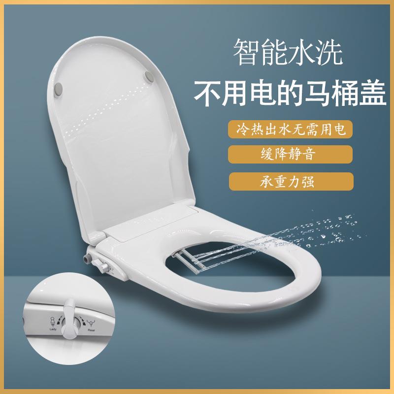 轻智能冲洗马桶盖不用电智能马桶一体式家用妇洗洁身器座便器