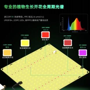 LED植物灯QBD650MAX65W量子板补光灯大棚多肉育苗可调光花卉