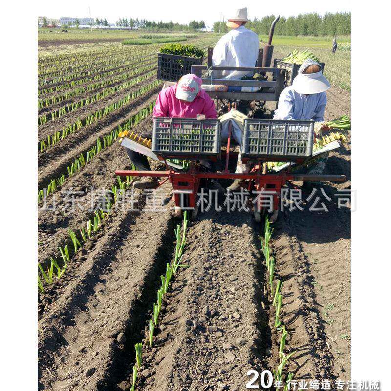 蔬菜移栽机 洋葱移栽机 大葱移栽机 苗圃树苗种植机
