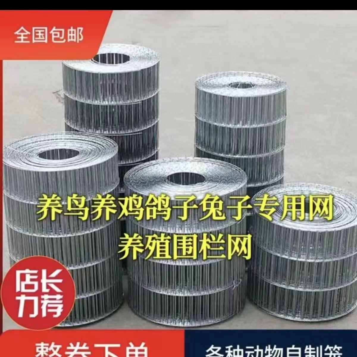 镀铁网围栏长孔养防鸟护鸽舍锌OVC殖鸡兔鸽笼子笼网片家用