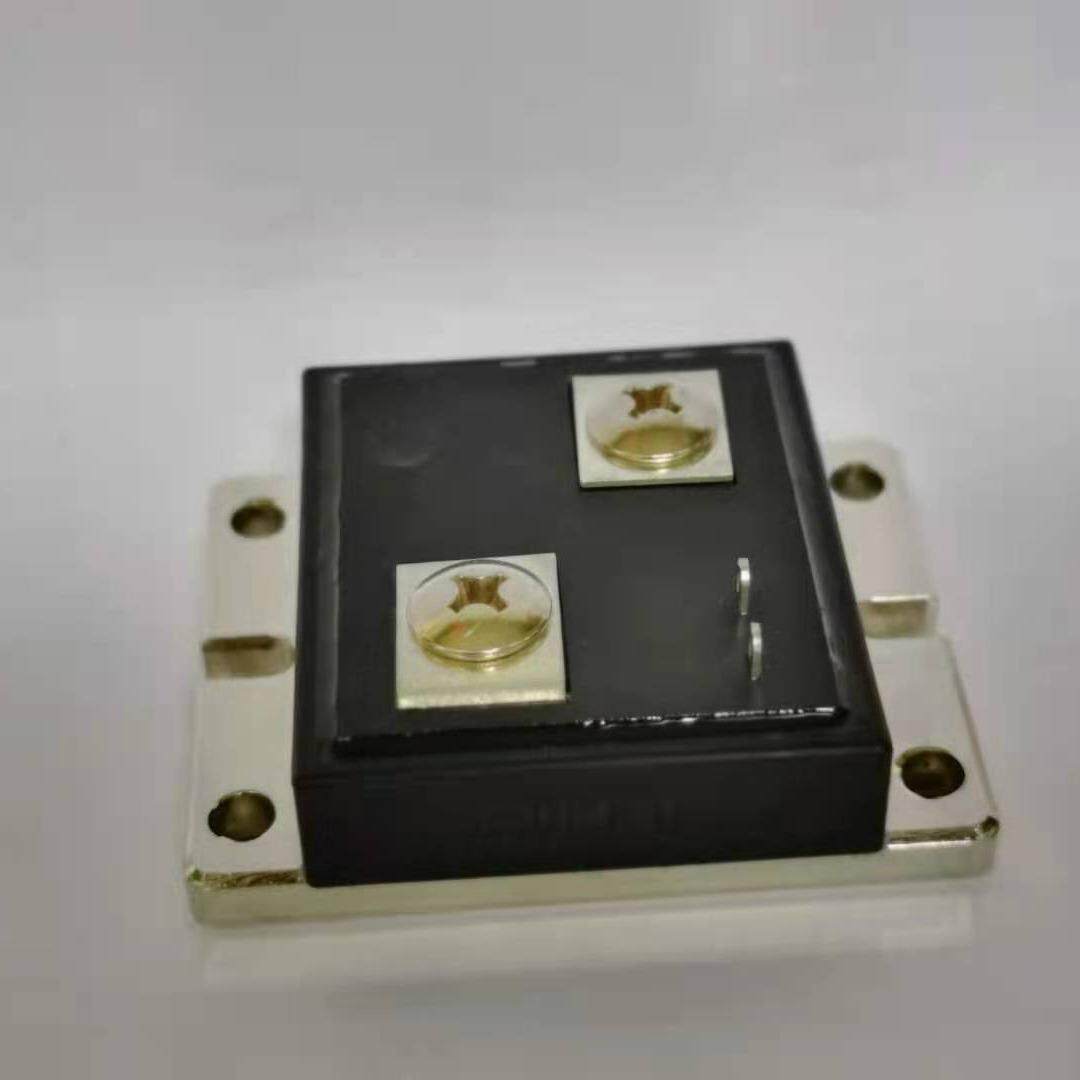 代德国RUG-Z_R002 PVR7055高精密标准伊萨RUG-Z电阻器 ISA精密合