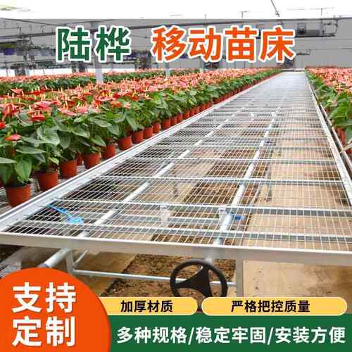 农场果蔬育苗花圃培育苗床大棚温室植物种植热镀锌网片移动苗床网