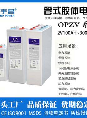 管式胶体电池2V1000Ah离网系统通信基站电池OPZV电池通信储能专用