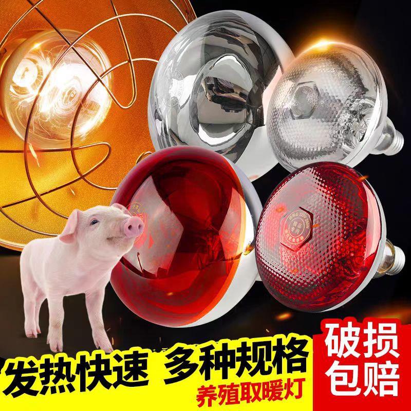 保温灯养殖场专用猪用取暖灯泡小鸡养鸡育雏大棚兽用加热烤灯养殖