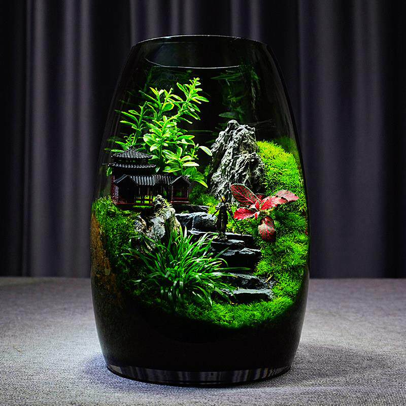 【山海间】苔藓微景观生态瓶创意办公室内桌面青苔绿植生态缸摆件