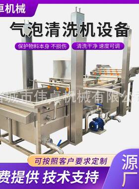 桃子杏无花果气泡清洗机 海鲜清洗设备 大型商用果蔬气泡清洗机