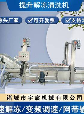 全自动白菜气泡清洗机猪头肉清洗解冻机冻盘冻鱼清洗加工设备