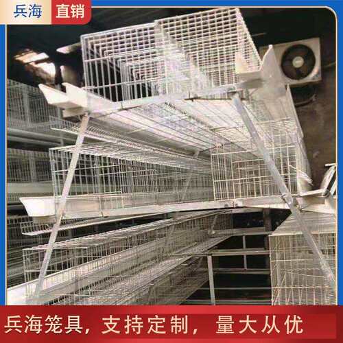 厂家直供阶梯式三层公鸡笼养殖场公鸡笼三层立体公鸡笼量大从优