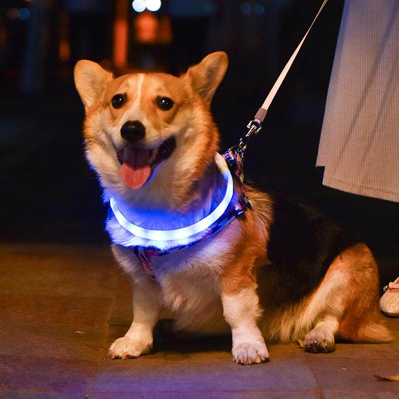发光宠物项圈可裁减夜间防走丢狗狗项圈炫彩闪光猫项圈充电项圈