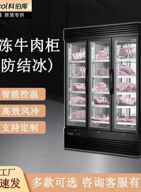 冷冻牛肉展示柜风冷不结冰立式商用冷柜榴莲速冻柜低温牛肉熟成柜