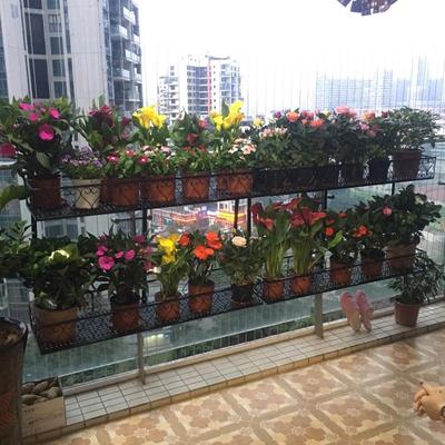 铁艺双层阳台栏杆花架护栏悬挂飘窗挂式双层花架壁挂盆栽多肉至哲