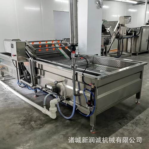 多功能连续式气泡清洗机全自动果蔬清洗设备毛豆花生大姜清洗线