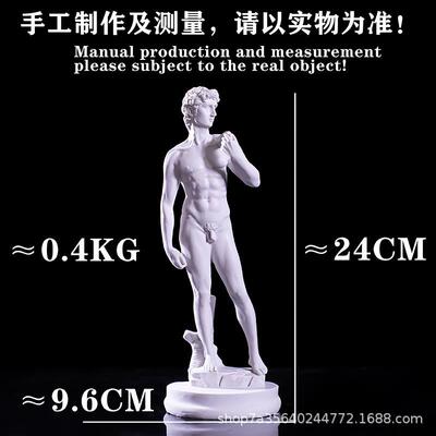David摆大卫全树脂物模型8096件身美术教具头像人人像雕塑素描雕