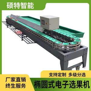 释迦果芭乐称重分级电子选果设备石榴桃子水果重量分选机