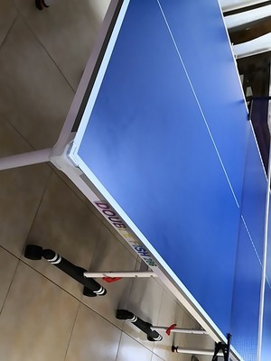 双鱼乒乓球桌怎么样用后满意还是后悔