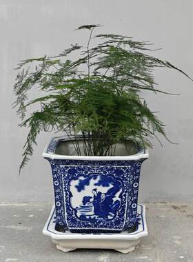 陶瓷花盆高温青花瓷带托盘兰花绿萝盆景老庄花卉八角盆多肉盆