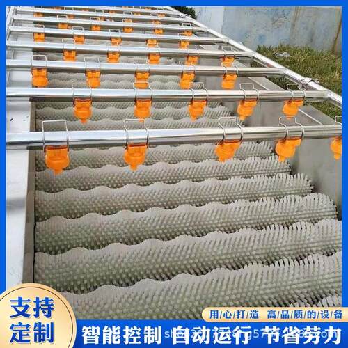 芒果清洗机平行毛辊清洗设备海蛎子去泥杂质毛辊清洗机器