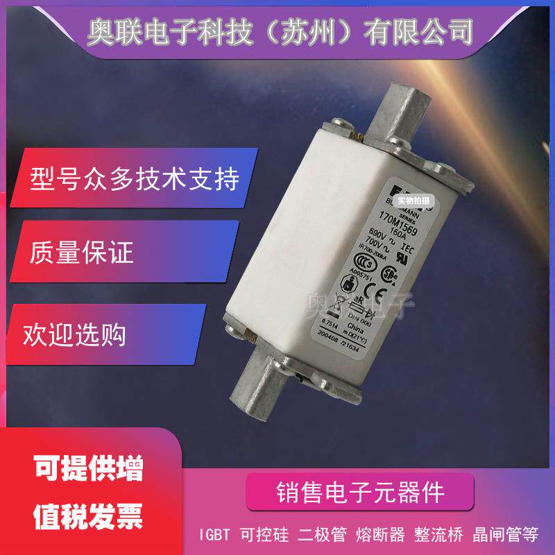 170M3144 170M3145 170M3146 170M3147 170M3148巴斯曼熔断器保险