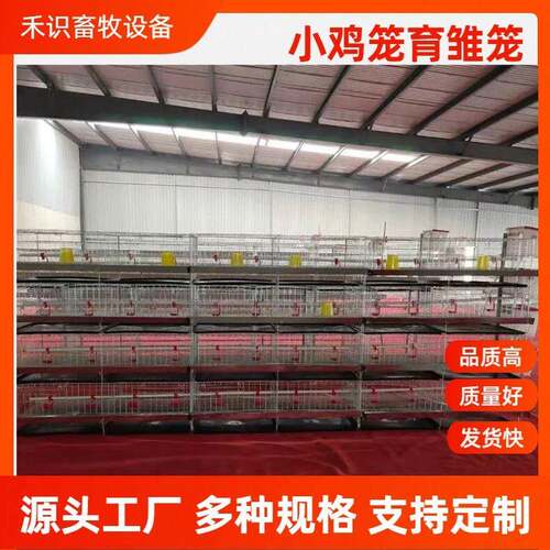 现货立式四层小鸡笼育雏鸡笼层叠式养鸡笼养鸡设备养殖场鸡舍用