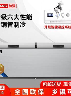 智能温控赫强铜管大冰柜 卧式商用节能大冷柜冷冻柜冷藏柜保鲜柜