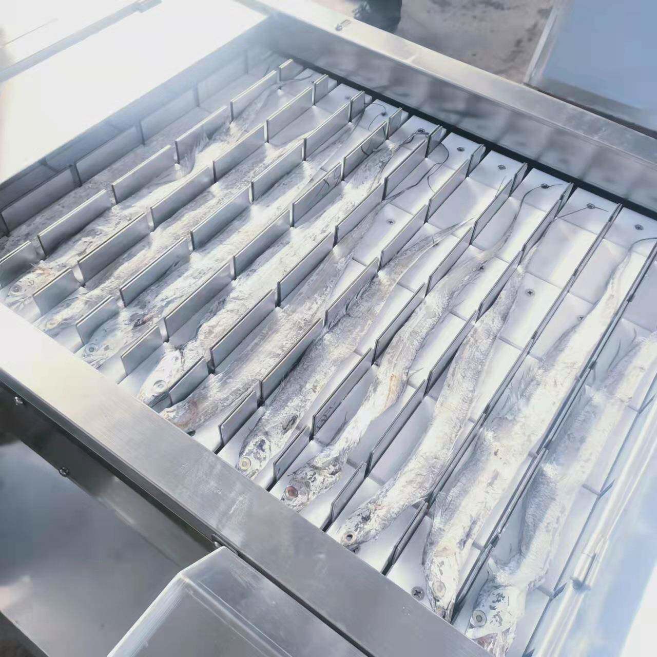 日照鲜刀鱼切段切块机香酥带鱼罐头斩头去尾设备海带芹菜切段机