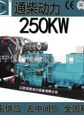 广西厂家南通250KW柴油发电机组电启动全铜无刷发电机TCR250