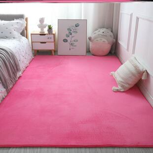 Fluffy Shaggy Carpet 地毯垫 Bedroom Mat for Rugs Area Floor