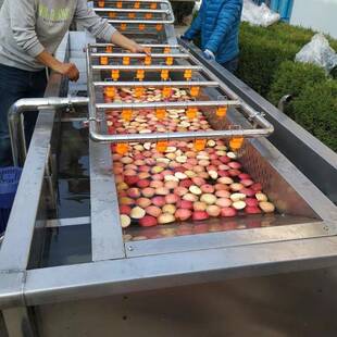苹果清洗机 喷淋气泡苹果清洗流水线 工业大型全自动苹果清洗设备