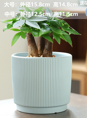 TEMU蝴蝶兰亚马逊代发花盆花瓶