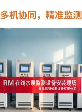 瑞明水质在线监测仪COD氨氮总磷总氮参数可选现场案例